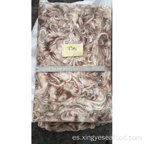 Tentacle Squid Frozen Illex Argentinus 80-100G